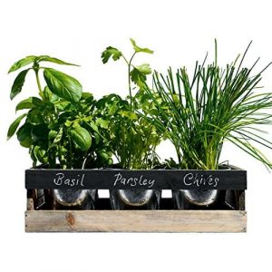 viridescent-jardin-de-hierbas-interior-caja-de-madera-jardinera-para-alfeizar-de-cocina-el-kit-contiene-todo-lo-que-necesita-para-cultivar-sus-propias-hierbas-frescas